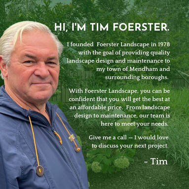 Tim Foerster